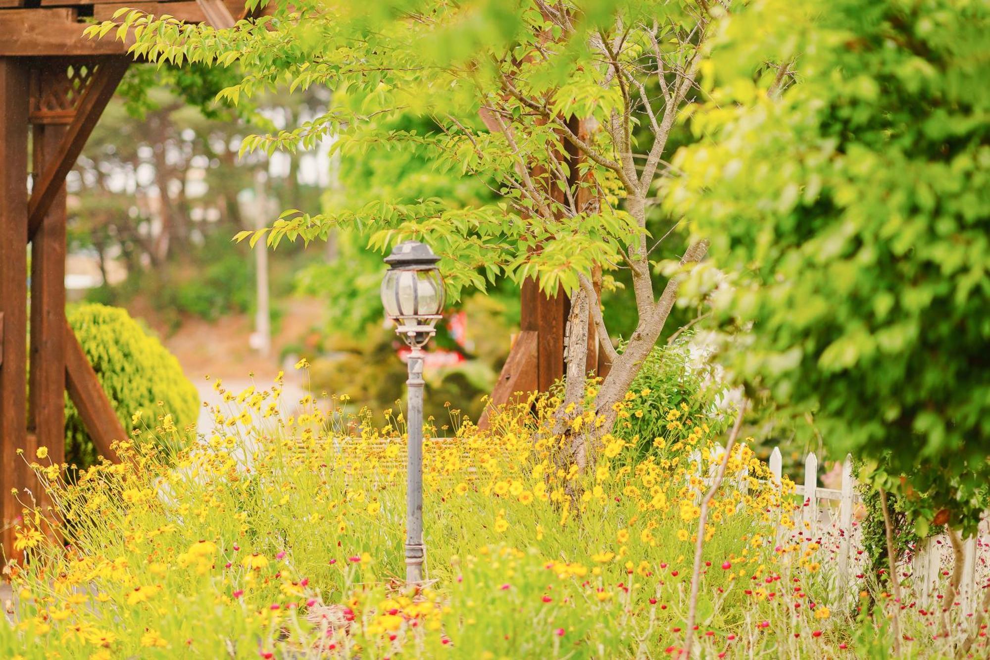 Taean Anmyeondo Mabupisung Pension Exterior photo